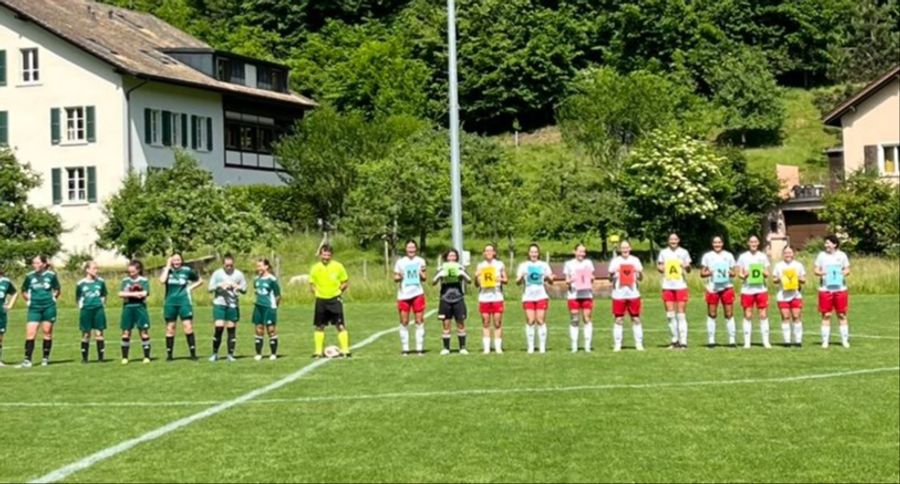 fc breitenrain