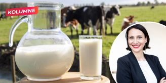Kolumne - Tage der Milch sind gezählt – was tun mit den Kühen? Kolumne - Tage der Milch sind gezählt – was tun mit den Kühen?