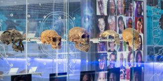 Sterkfontein Caves - Berühmte Höhlen in Südafrika wieder offen
