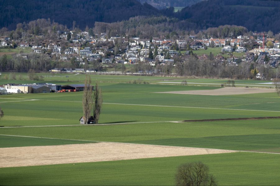 Das Flughafenareal umfasst die grösste zusammenhängende Trockenwiese im Mittelland. (Archivbild)