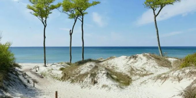 Zingst: Die frische Meeresluft und die salzige Brise machen das Campen an der Ostsee besonders erholsam. Sandstrand Ostsee