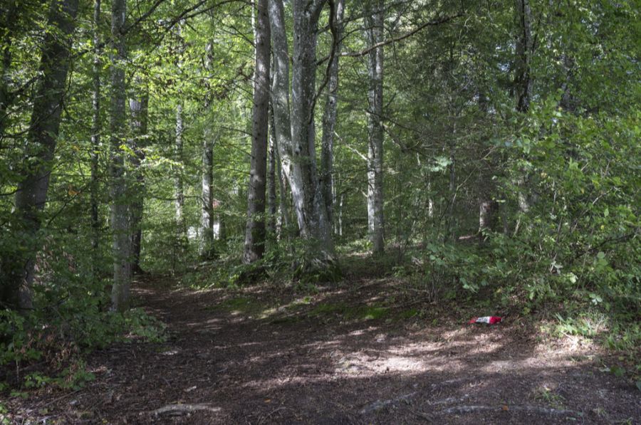 In einem Waldstück im Kanton Schaffhausen wird die Suizidkapsel Sarco im September 2024 eingesetzt.