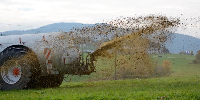 Auf den Feldern der Bauern im Kanton Schwyz lag noch Schnee, als sie die Gülle verteilten, was problematisch ist. (Symbolbild) Gülle Bauer