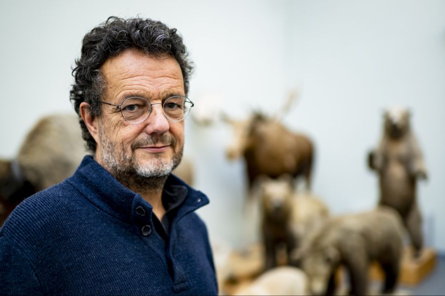 Olivier Glatziot