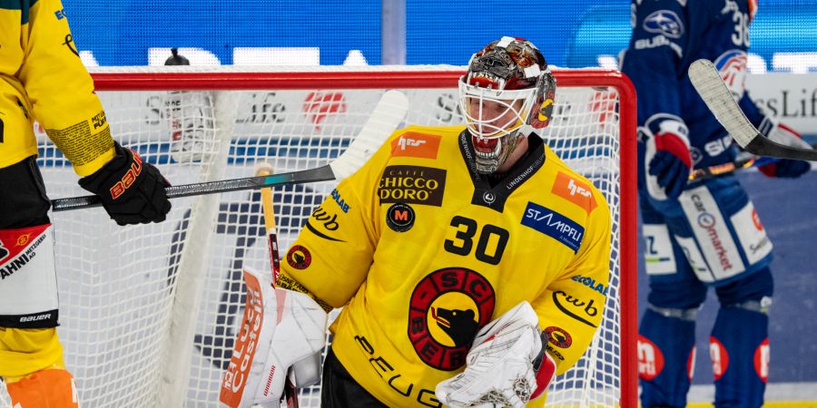 SC Bern