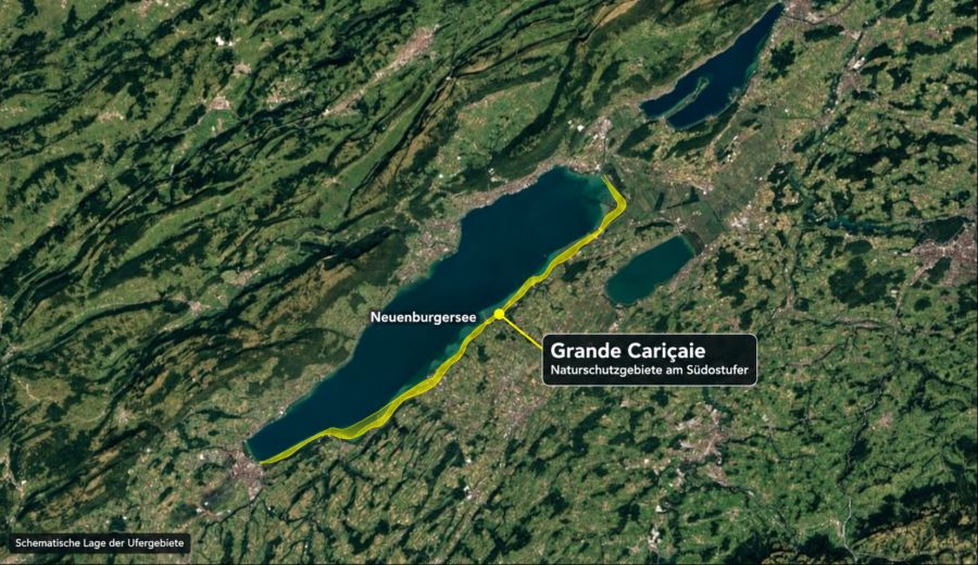 Grande Cariçaie