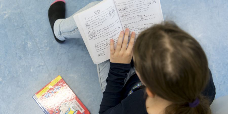 Die Reform über den Sprachunterricht in der Primarschule hat bei Parteien und Kantonen für Uneinigkeit gesorgt. (Archives)