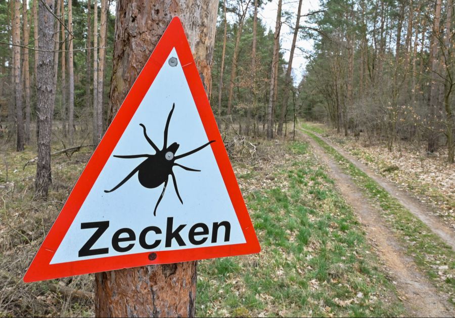 Umfrageteilnehmer trafen Zecken auf bis zu 2300 Metern an.