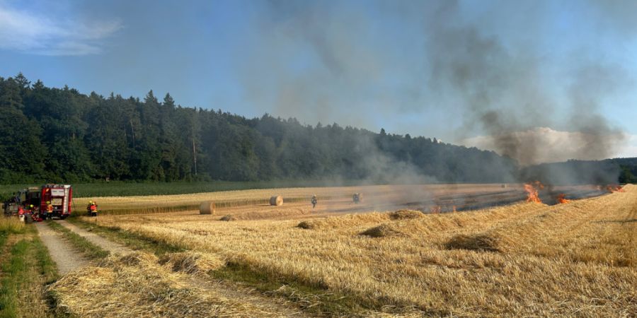 Im thurgauischen Gachnang breitete sich das Feuer auf ein Feld aus.