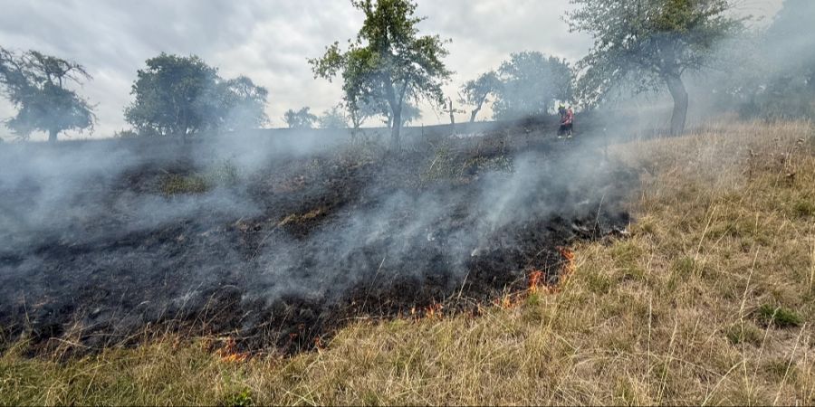 Wiesenbrand Beggingen