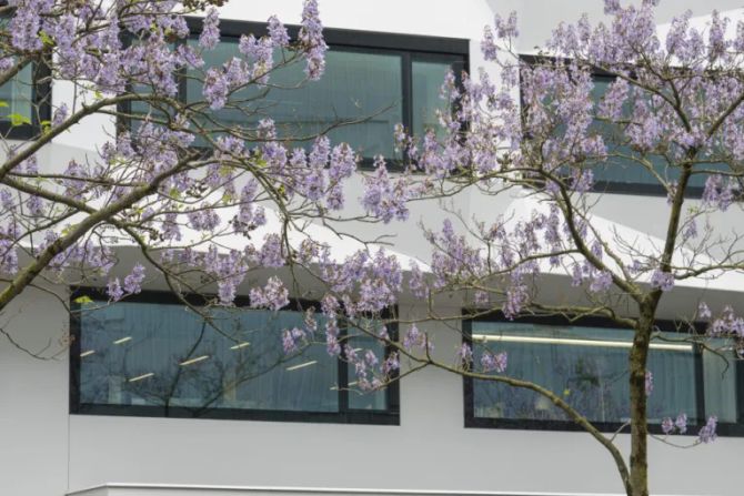 Universität Luzern