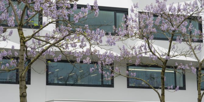 Universität Luzern