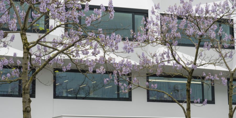 Die Universität Luzern steht derzeit unter Spardruck. (Archivaufnahme)