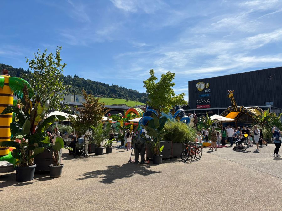Multi Switzerland AG