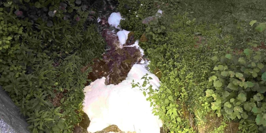 Gemäss bisherigen Erkenntnissen gelangte das Schmutzwasser im Rahmen von Reinigungsarbeiten in einem Betrieb in die Meteorwasserkanalisation.