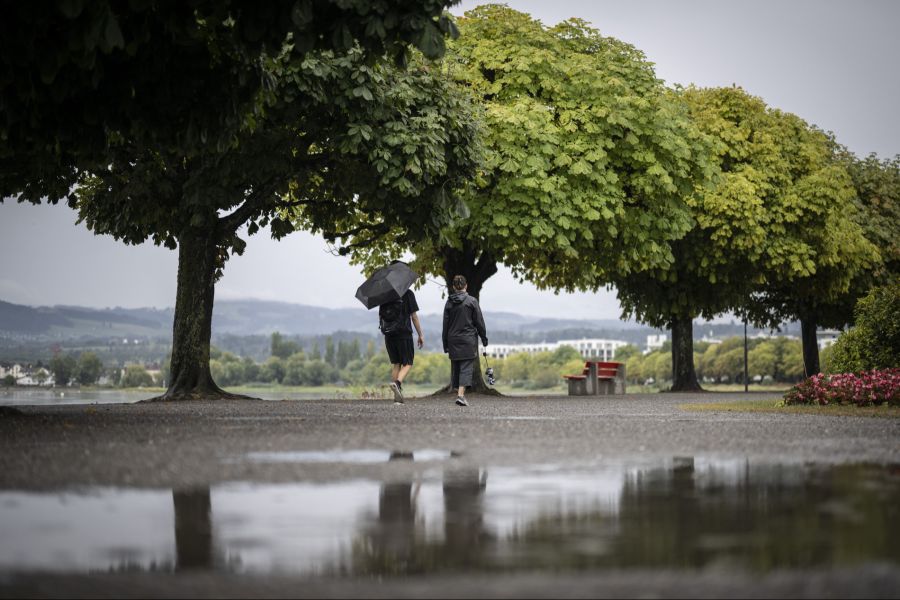 Vergangene Woche war es endlich so weit: Die Temperaturen kühlten etwas ab und es fiel vermehrt Regen.