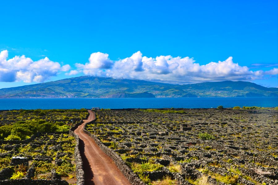 Das Azorenhoch ist wieder da. Blick von den Rebbergen auf der Insel Pico (UNESCO-Weltkulturerbe) zur Insel Faial.