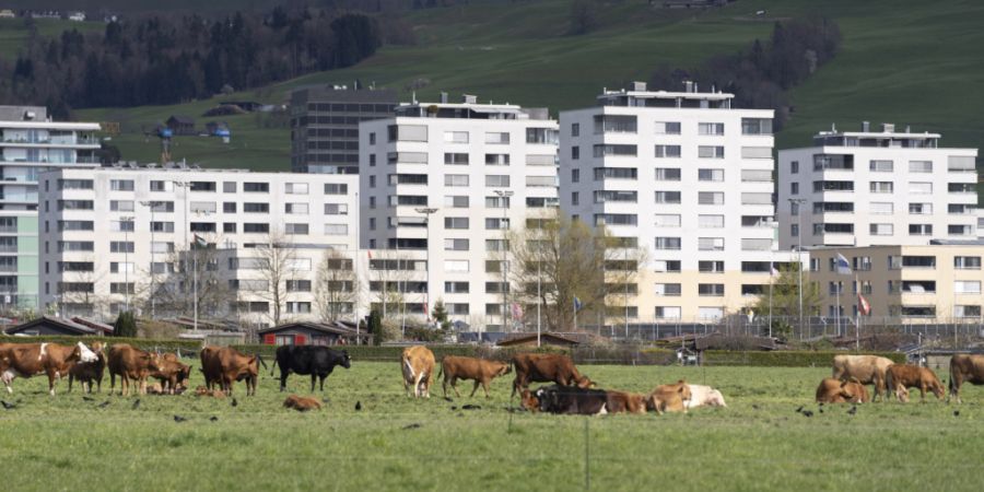 Wohnblocks zwischen Cham und der Stadt Zug: Der Zuger Regierungsrat will mehr für die Erstellung günstiger Wohnungen tun. (Archivaufnahme)