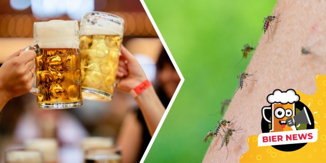Bier Mücken