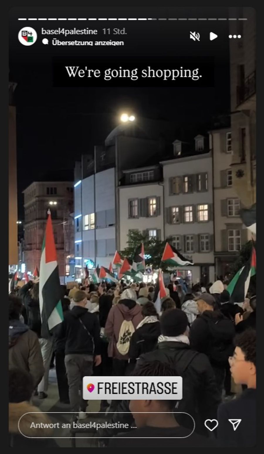 Pro Palästina Demo Basel