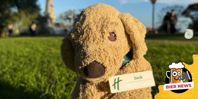 Stoffhund Hotel Plüschtier Internetstar