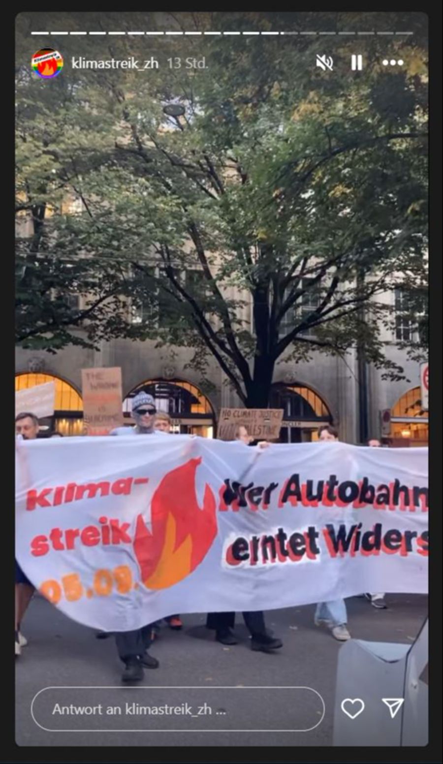 Klima Demo Zürich