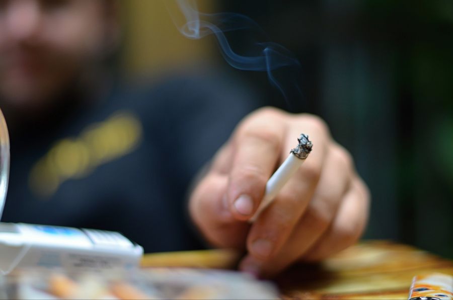 passivrauchen haustiere