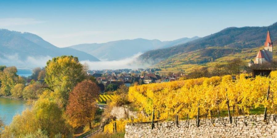 Wachau