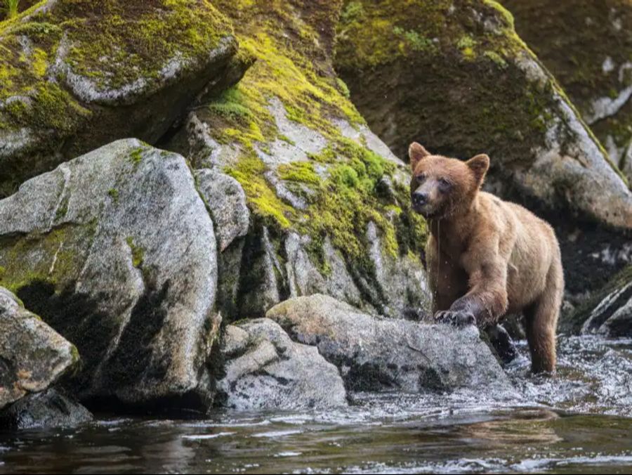 Seabourn Alaska