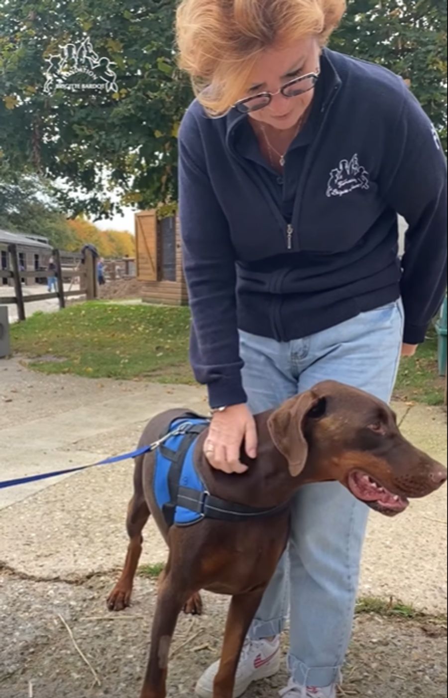 Dieses Video mit Brigitte Bardot wurde erst kürzlich gepostet.