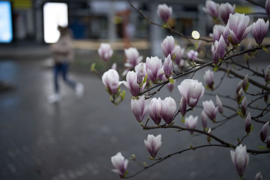 Verantwortlich für das stabile Wetter ist eine Hochdruckzone über Osteuropa.