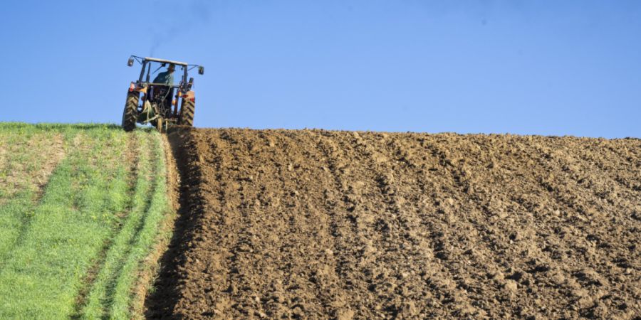 Die Bernische Stiftung für Agrarkredite reduziert wegen eines Liquiditätsengpasses ihre Kreditvergabe an die Landwirtschaft. (Symbolbild)