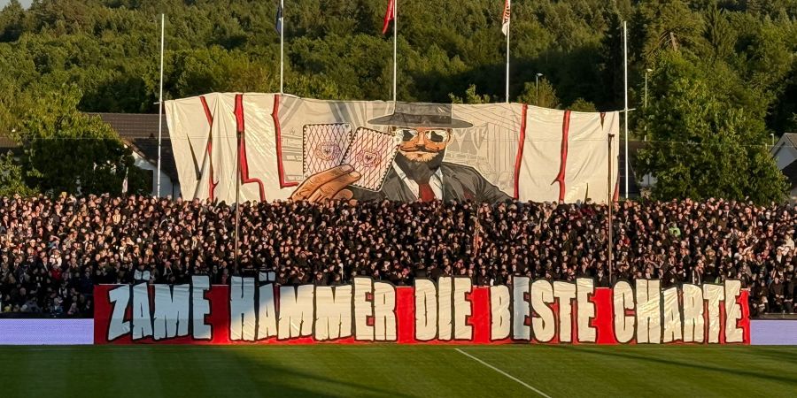 FC Aarau