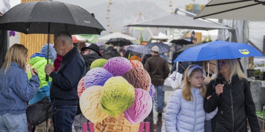 Die jeweils im Frühling stattfindende Luga ist die bekannteste Veranstaltung, welche die Messe Luzern AG auf der Allmend organisiert. (Archivaufnahme)