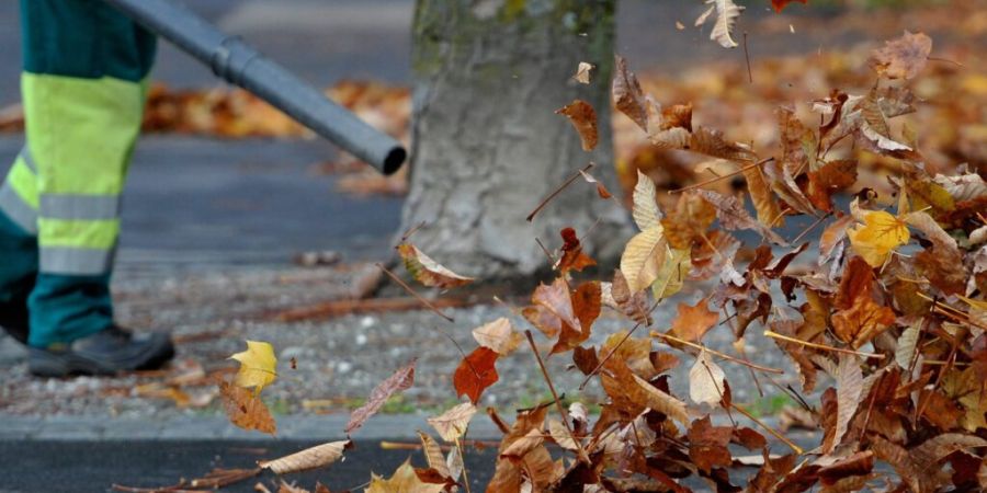 In Zürich dürfen benzinbetriebene Laubbläser noch etwas länger genutzt werden. Ab dem 1. April 2027 sind sie verboten (Symbolbild)