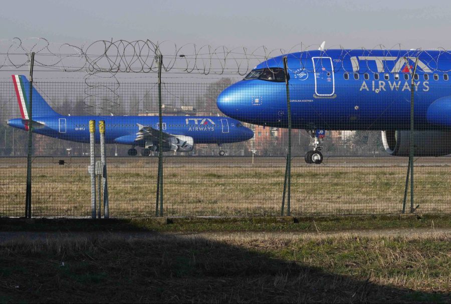 Bei ITA Airways dürfen jetzt Hunde bis 30 Kilo auf Inlandsflügen in der Kabine mitreisen. (Symbolbild)