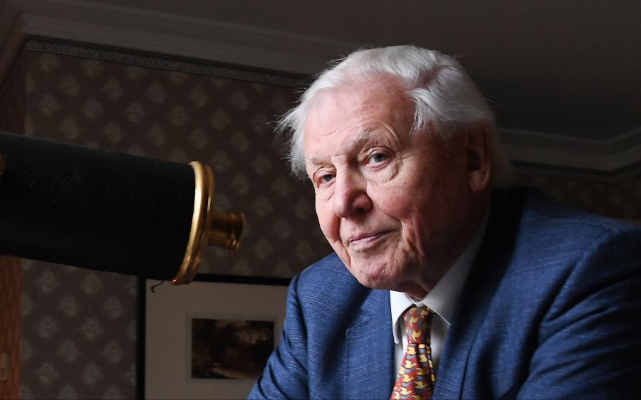 david attenborough