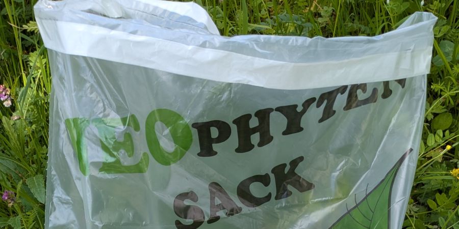 Neophytensack