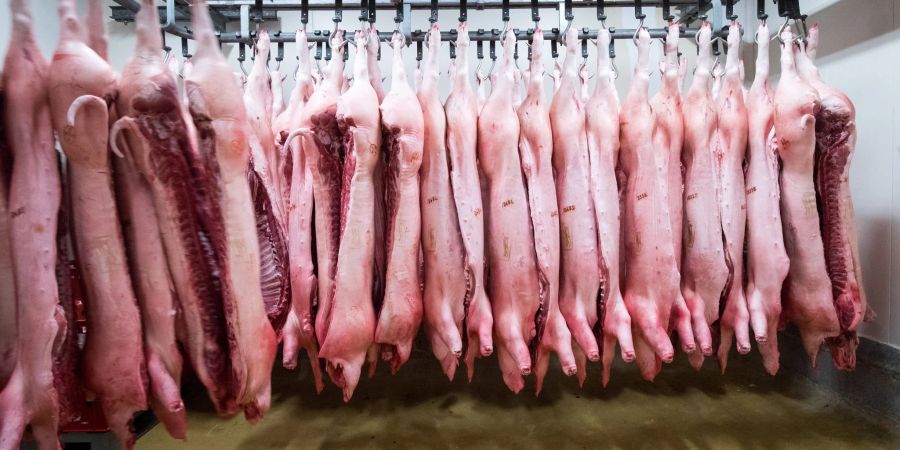 Als Reaktion auf die von der EU angedrohten Strafzölle auf chinesische E-Autos, hat China eine Anti-Dumpinguntersuchung gegen Schweinefleisch aus der EU angekündigt.