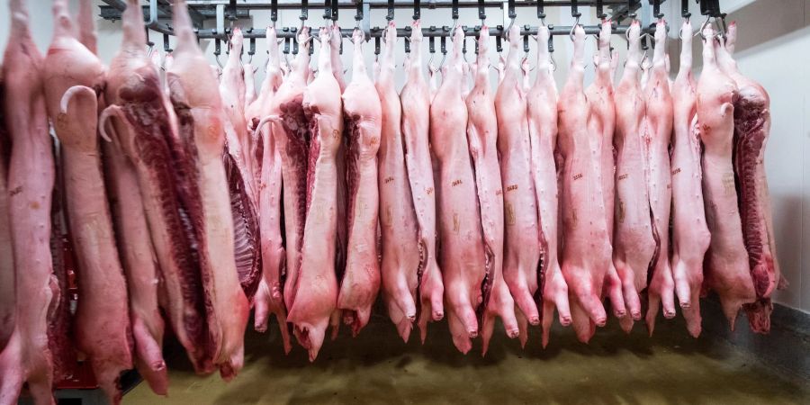 Schweinefleisch-Exporte