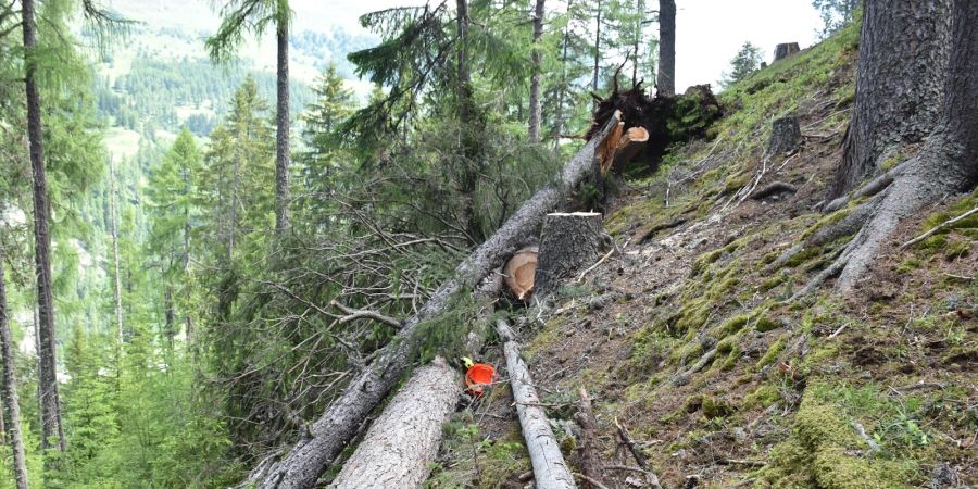 Wald Unfall