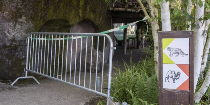 Das Tigergehege wurde für die Besucher abgesperrt. Tiger Zoo Zürich