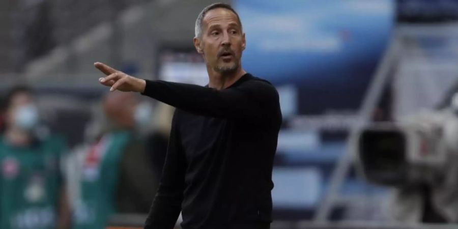 Adi Hütter Frankfurt Bayern