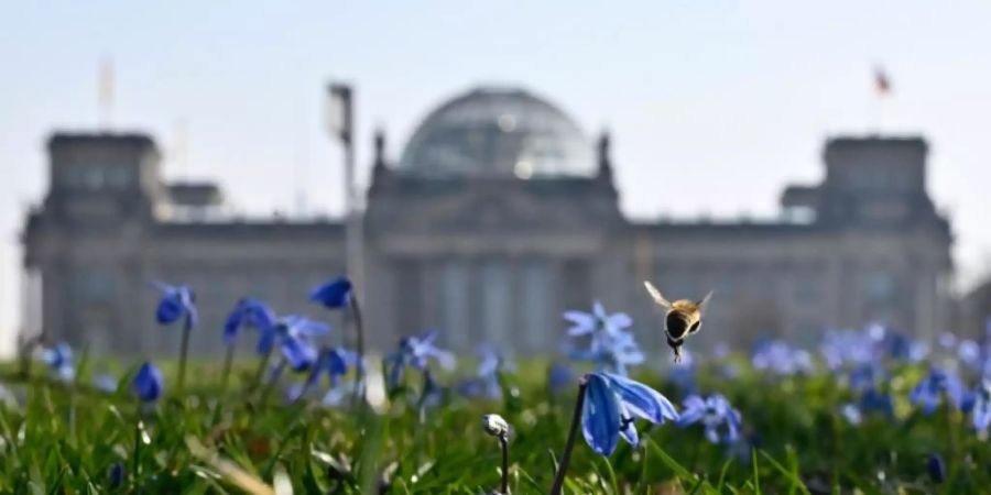 Biene vor dem Berliner Reichstag