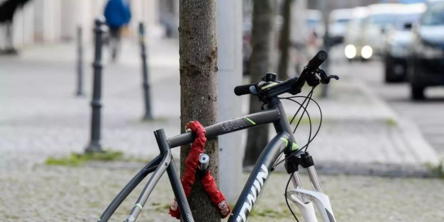 Reifen und Sattel sind weg, nur noch der Rahmen eines Fahrrads ist - hier in Berlin - an einen Baum gekettet. Foto: Jens Kalaene/dpa-Zentralbild/dpa