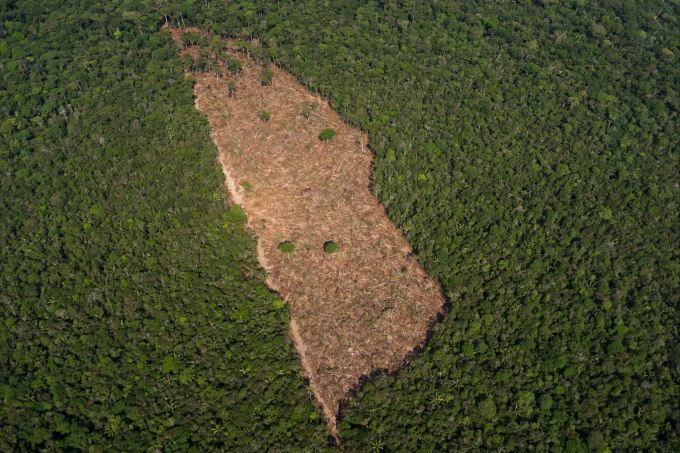 Blick auf ein abgeholztes Waldstück in der Mitte eines Waldgebietes im brasilianischen Amazonasgebiet. Investoren rufen Brasilien zu Ende von Amazonas-Abholzung auf