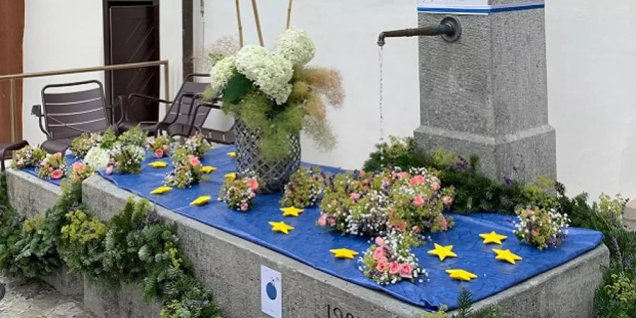 Brunnen Lenzburg