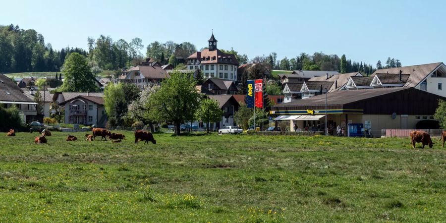 Kuhweide mitten im Dorf Uttigen mit Blick auf den VOLG (links) und das alte Schulhaus (Bildmitte).