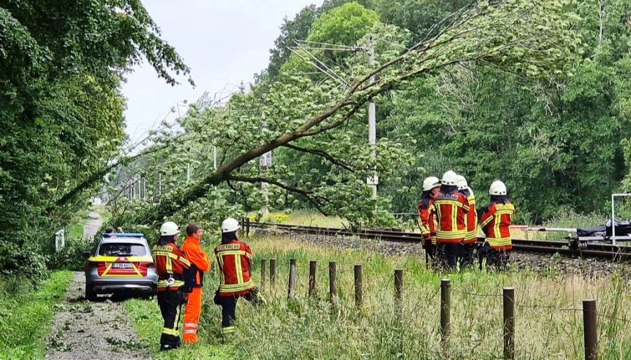 Sturmtief Poly Bahnverkehr Bäume