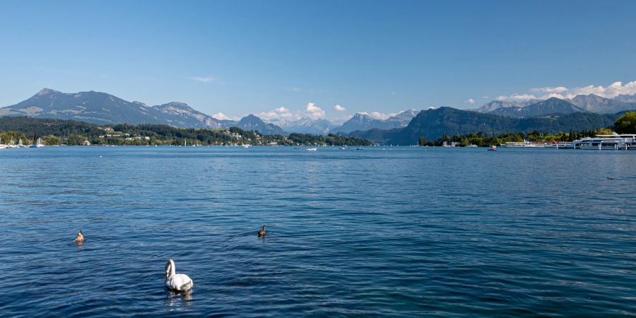 Vierwaldstättersee